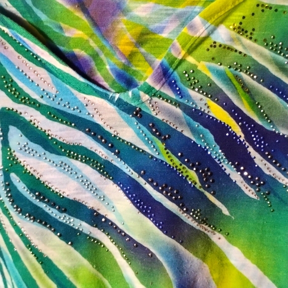 Chicos embellished zebra striped top in greens and blues. - Picture 3 of 8